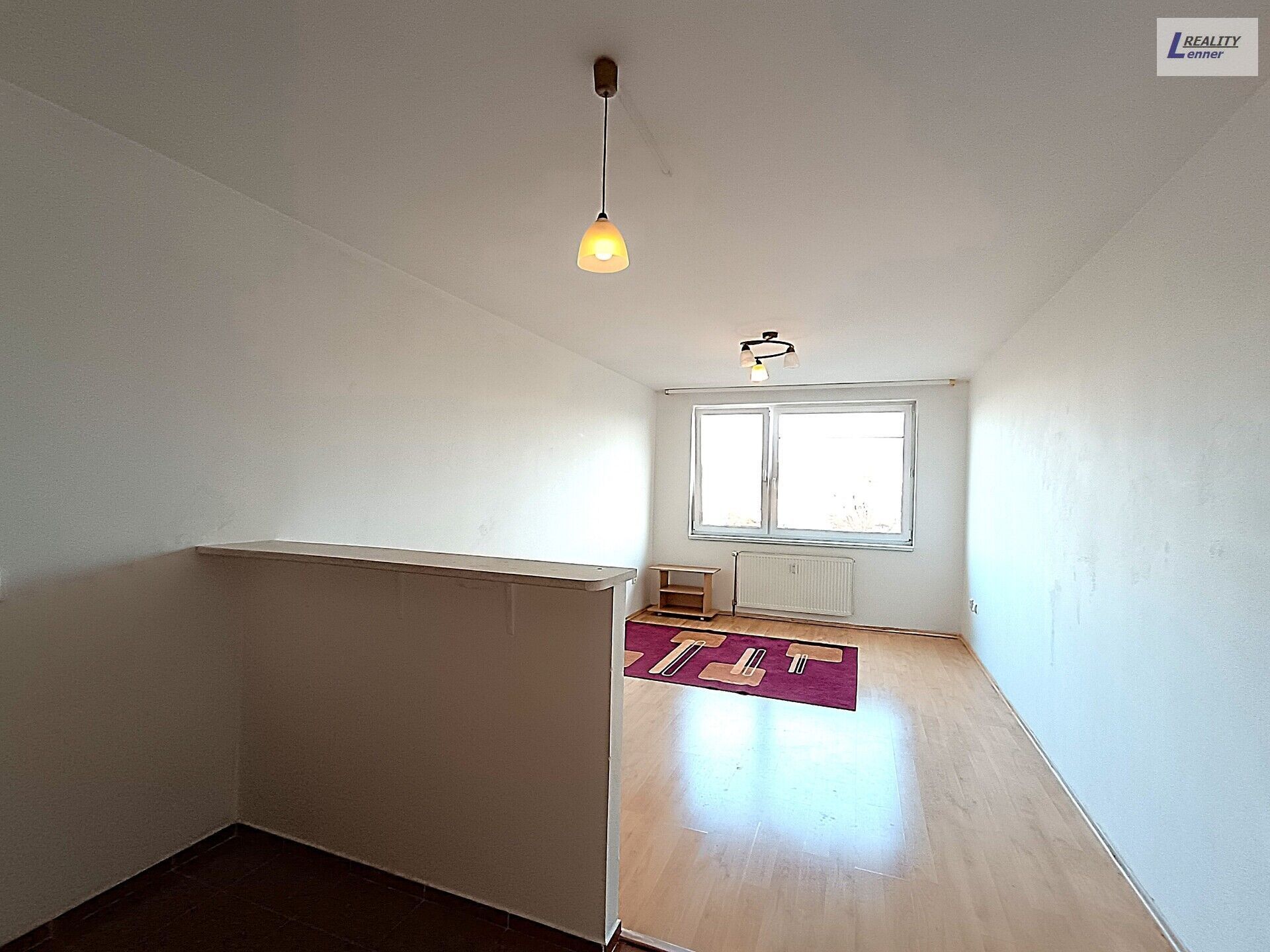 1+kk, Štúrova, Praha, 30 m²