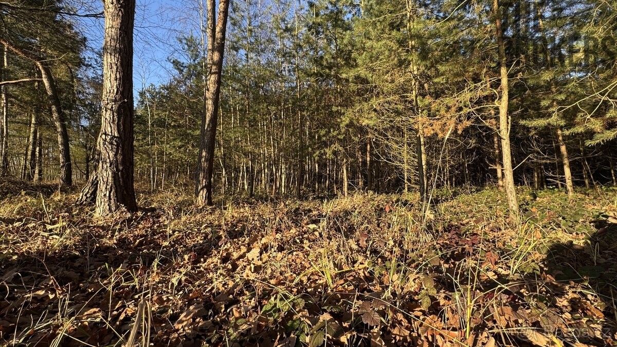 Pozemky pro bydlení, Pardubice, 530 02