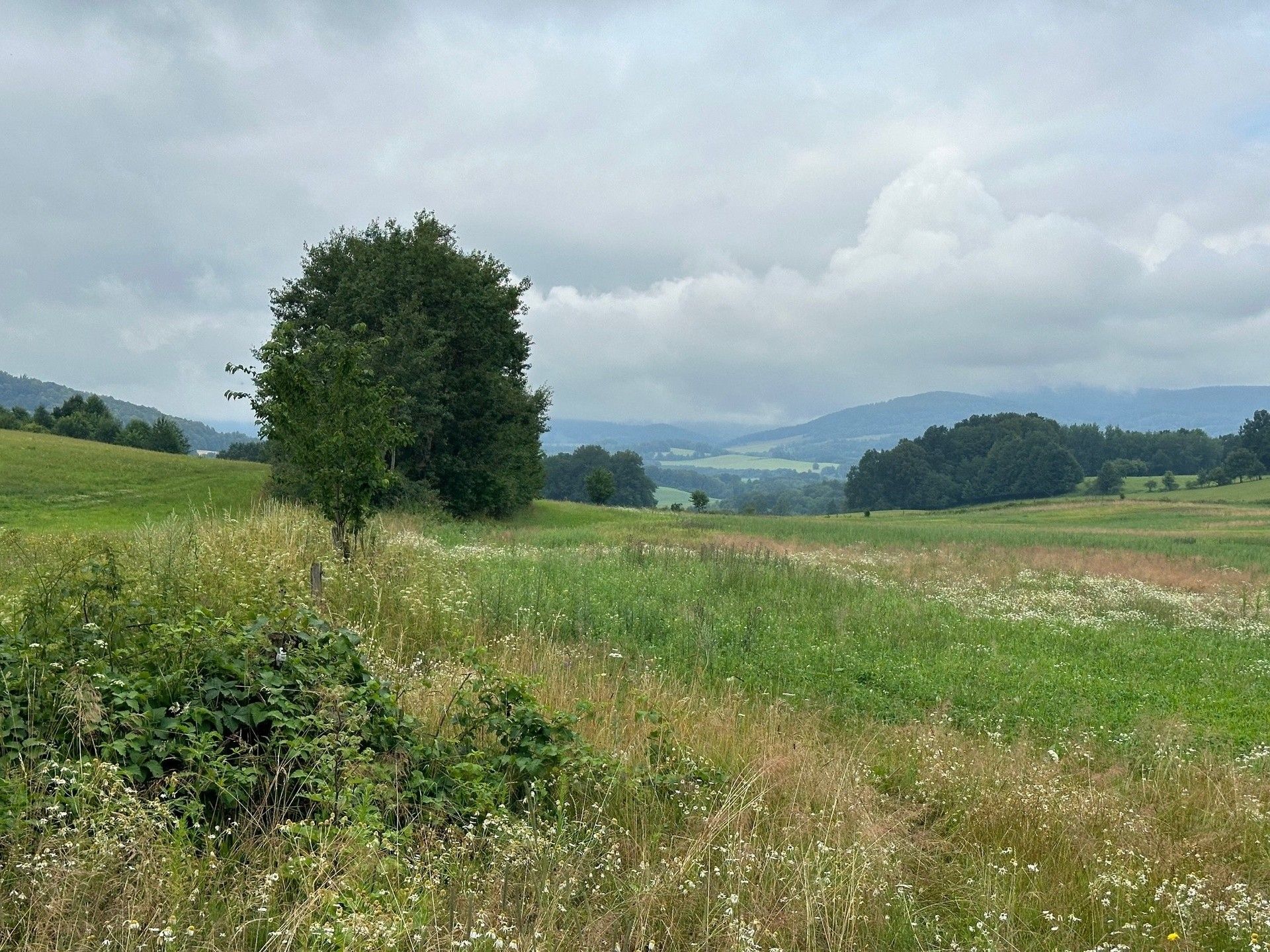 Prodej pozemek pro bydlení - Kobylá nad Vidnavkou, 3 443 m²