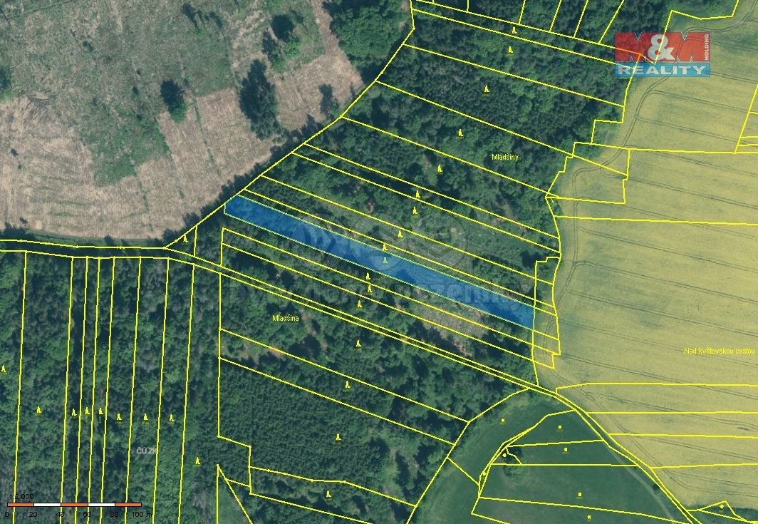 Prodej les - Bernartice u Milevska, 398 43, 4 125 m²