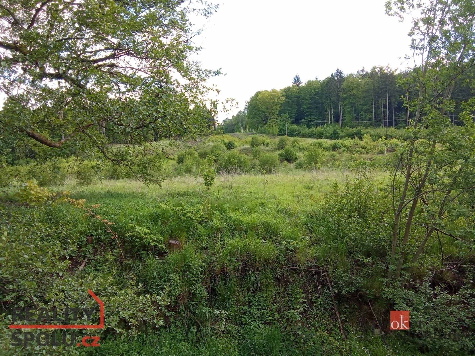 Prodej pozemek pro bydlení - Janská, 22 894 m²