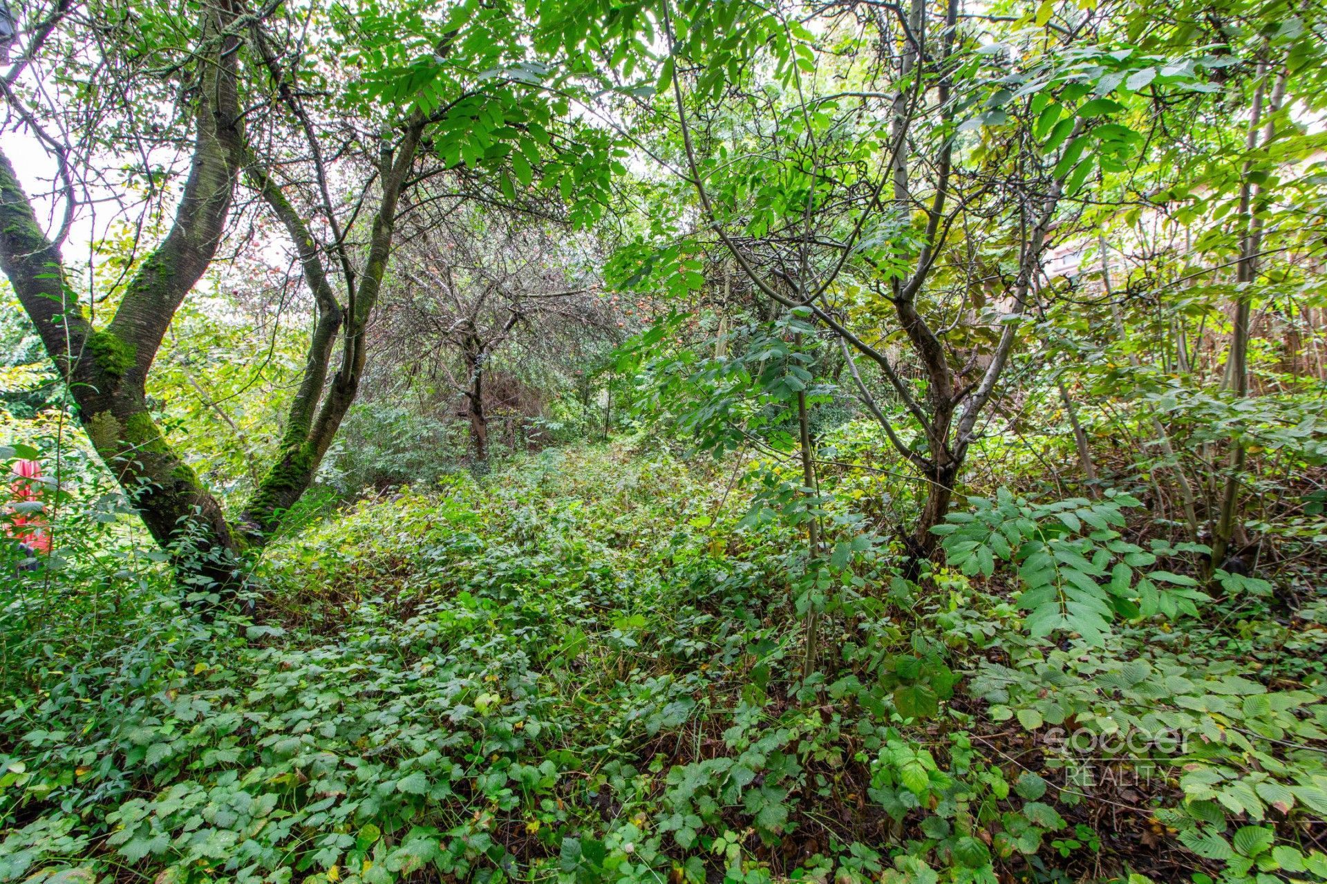 Zahrady, Praha 9, Praha, 644 m²