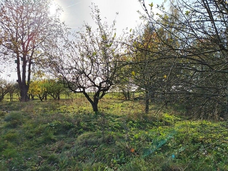 Pozemky pro bydlení, Loukov u Mnichova Hradiště, 294 11