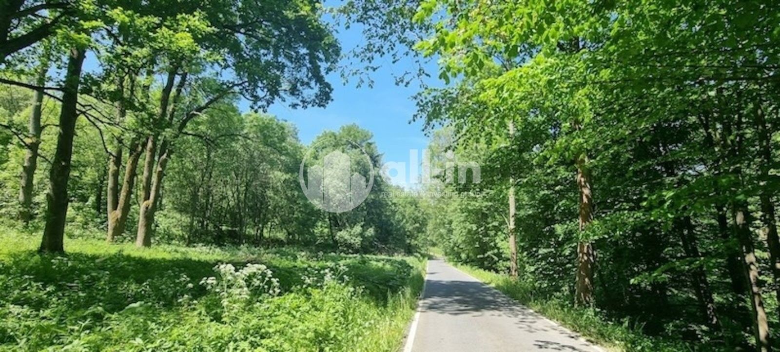 Prodej pozemek pro bydlení - Vysoký Potok, Malá Morava, 1 411 m²