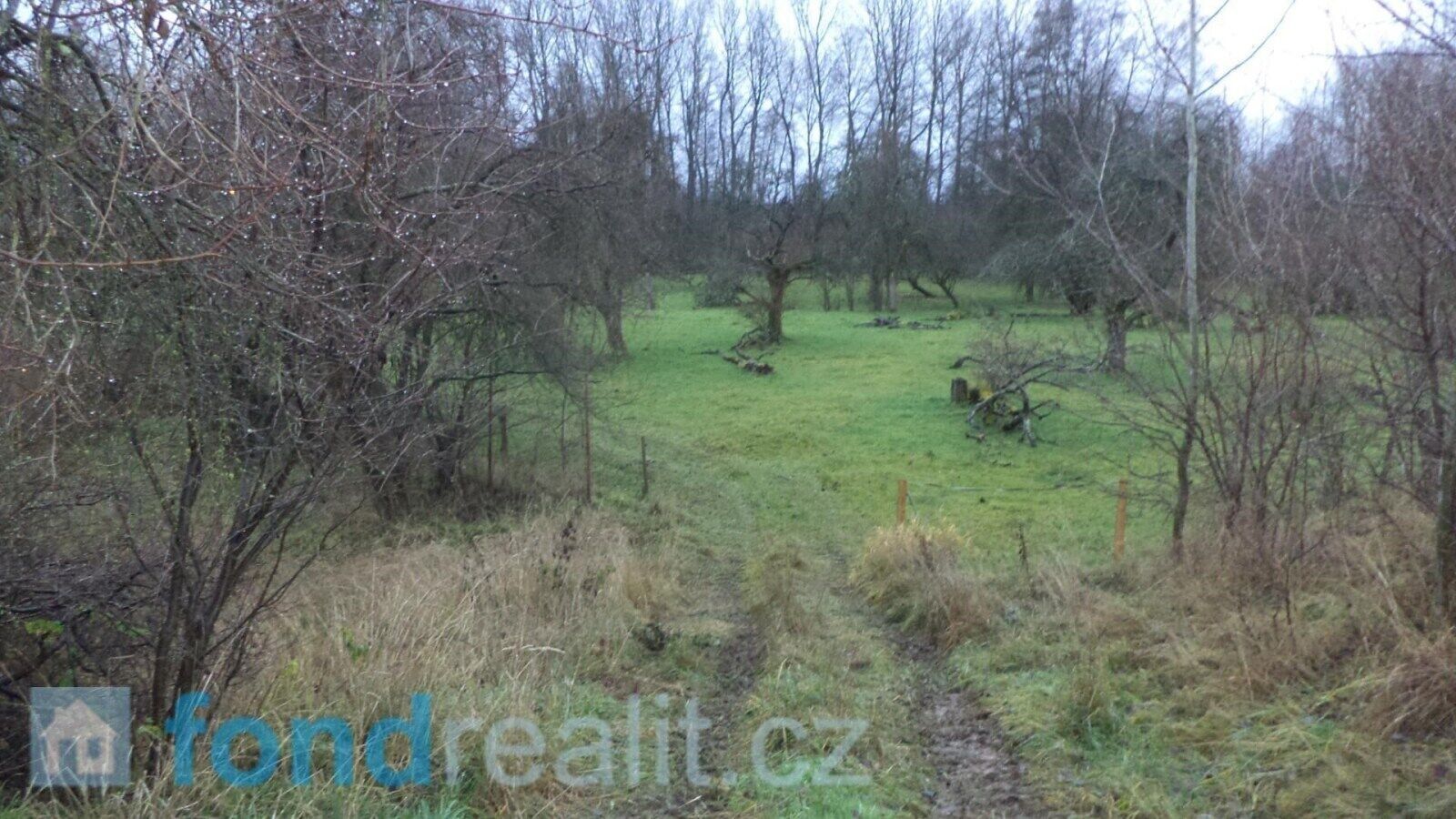 Ostatní, Cvikov, 1 m²