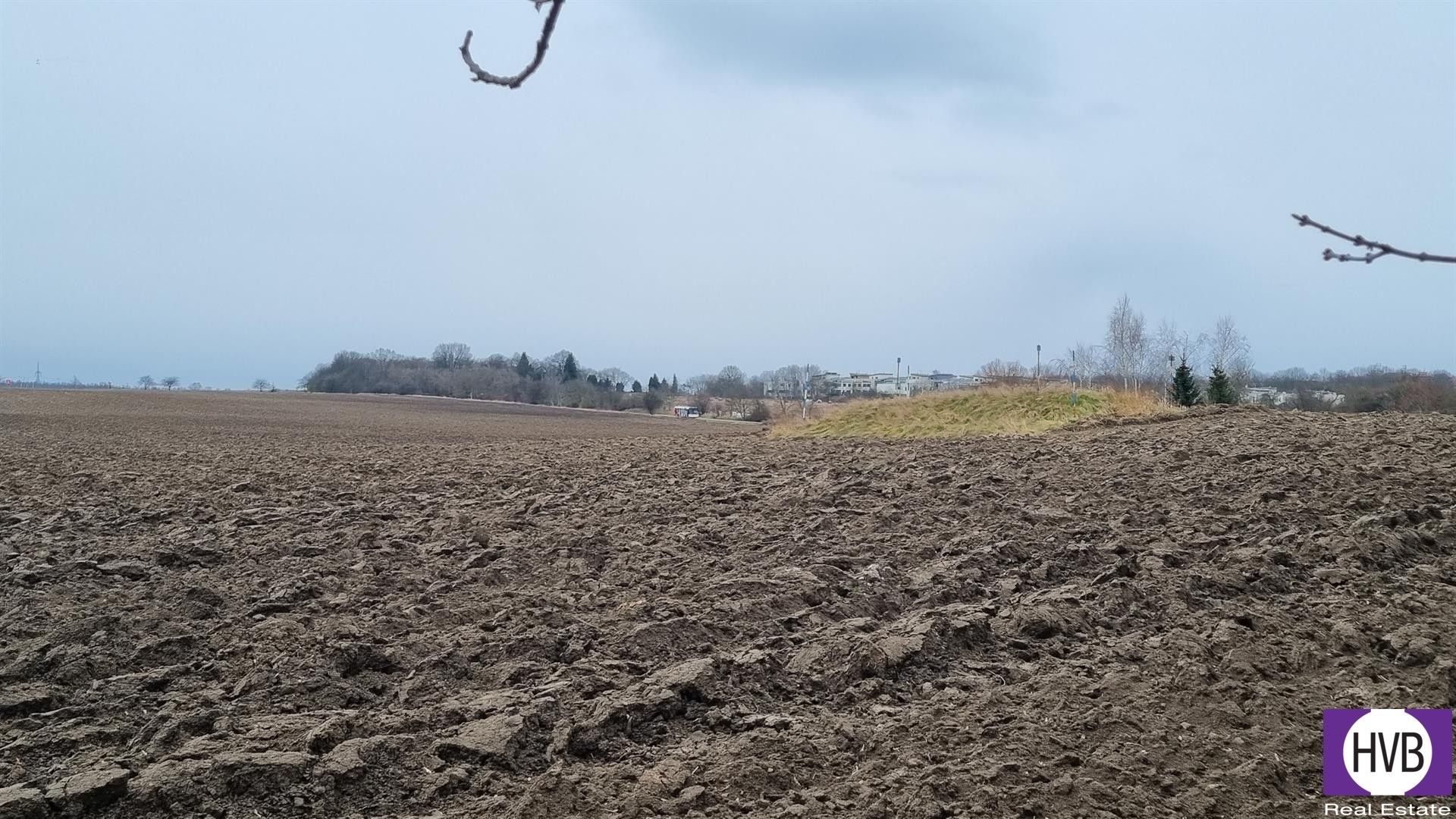 Prodej zemědělský pozemek - Číčovice, 14 m²