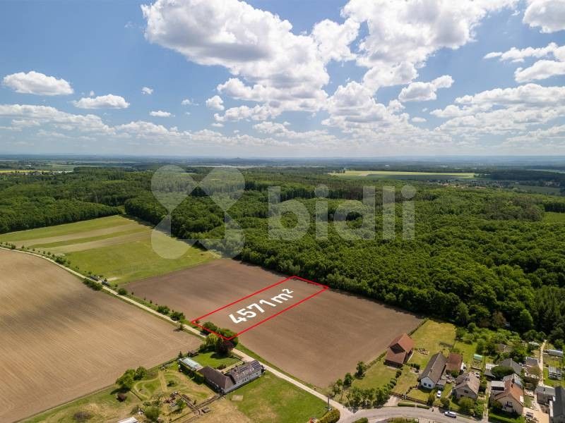 Pozemky pro bydlení, Michnovka, Kratonohy, 4 571 m²