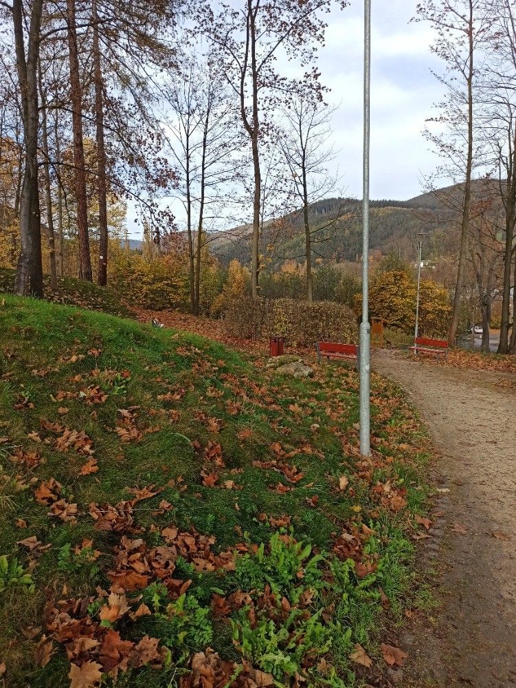 Pronájem byt 1+kk - Vrbno pod Pradědem, 793 26