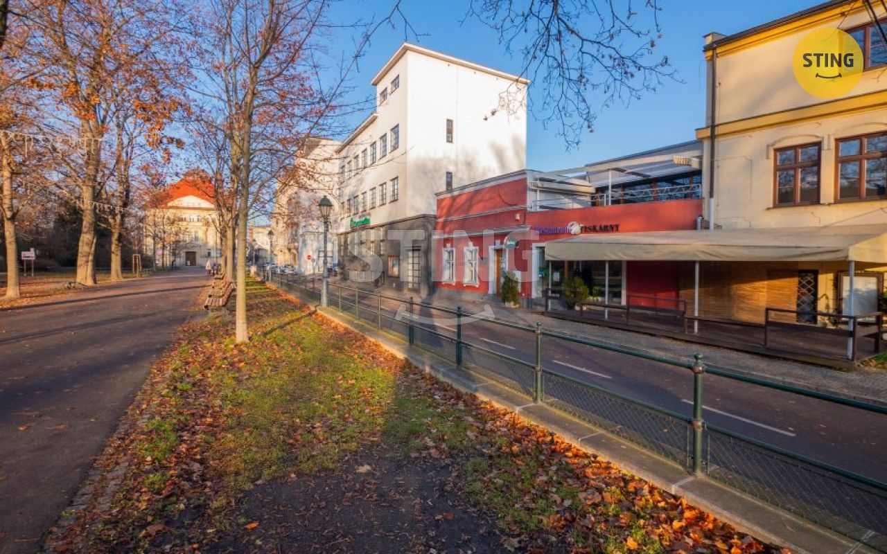 Pronájem komerční - sady Svobody, Opava, 250 m²