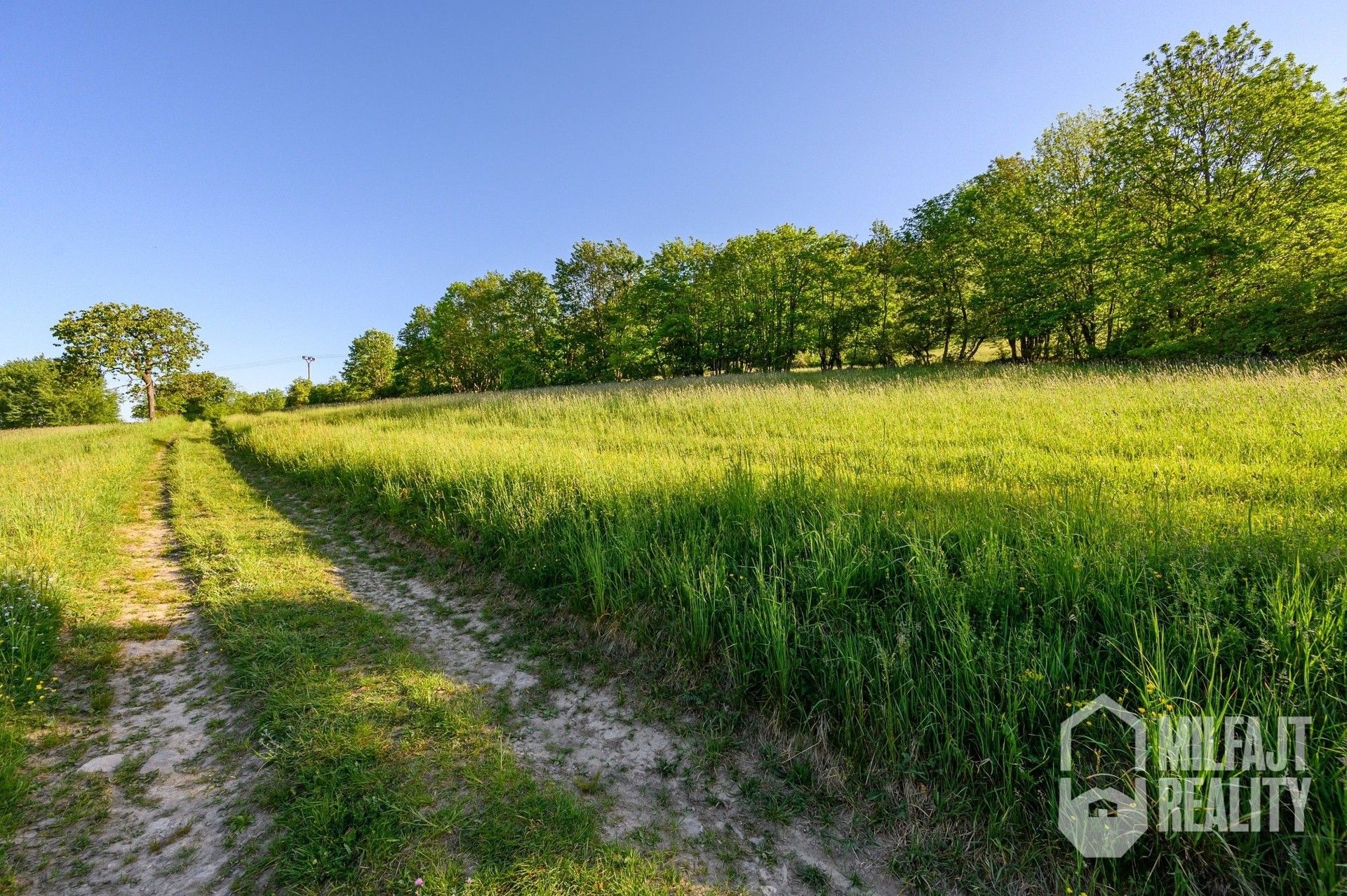 Prodej louka - Proseč pod Ještědem, 3 254 m²