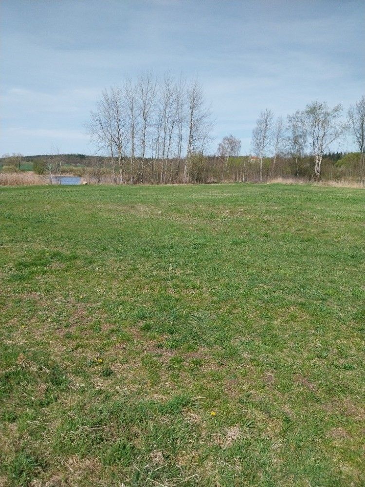 Prodej pozemek - Blatná, 388 01, 7 000 m²