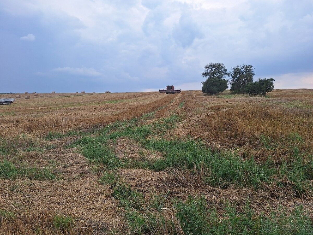 Zemědělské pozemky, Holice v Čechách, 534 01