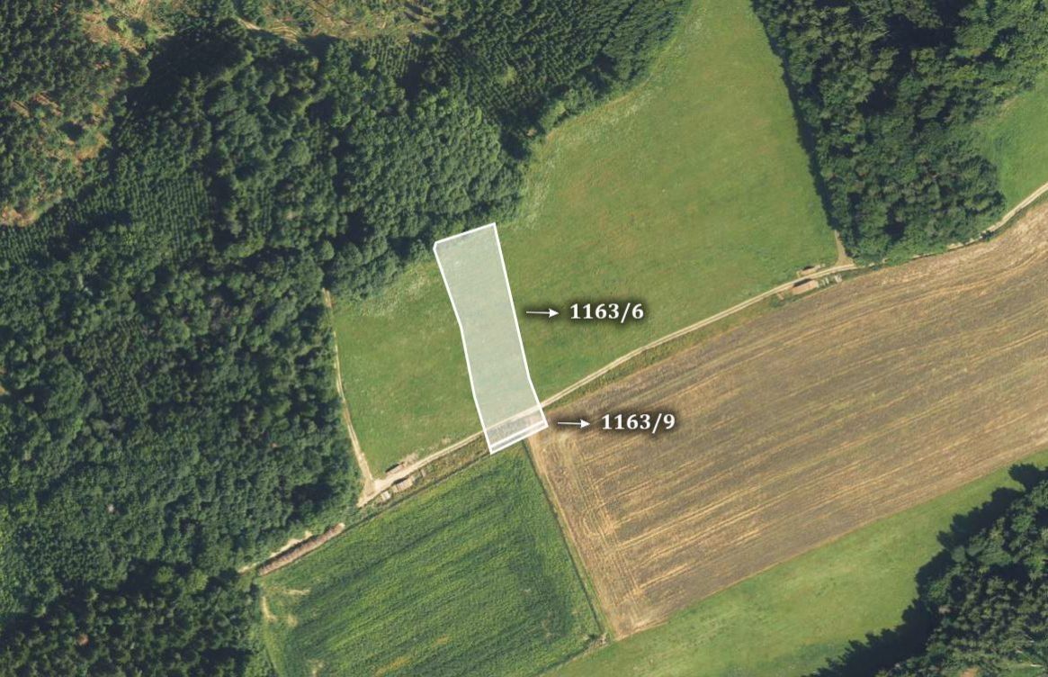 Prodej zemědělský pozemek - Rozstání, 798 62, 8 110 m²