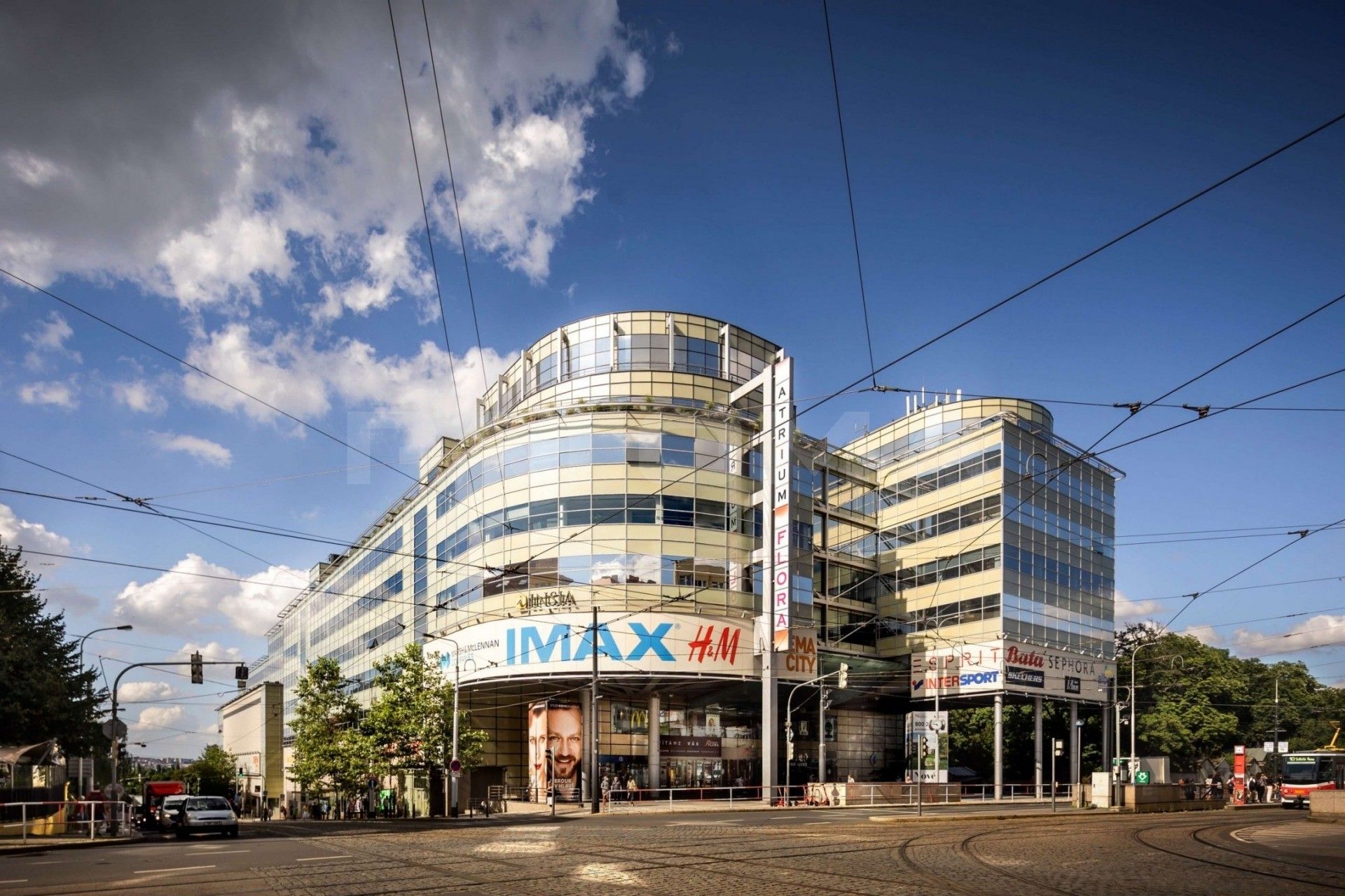 Kanceláře, Vinohradská, Praha, 528 m²