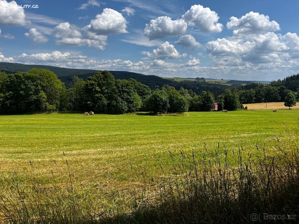 Prodej pozemek pro bydlení - Rokytnice v Orlických horách, 517 61, 13 380 m²