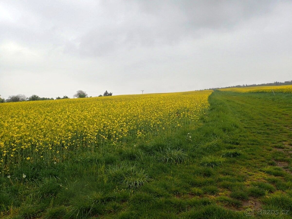 Prodej pozemek - Zlín, 763 02, 6 725 m²