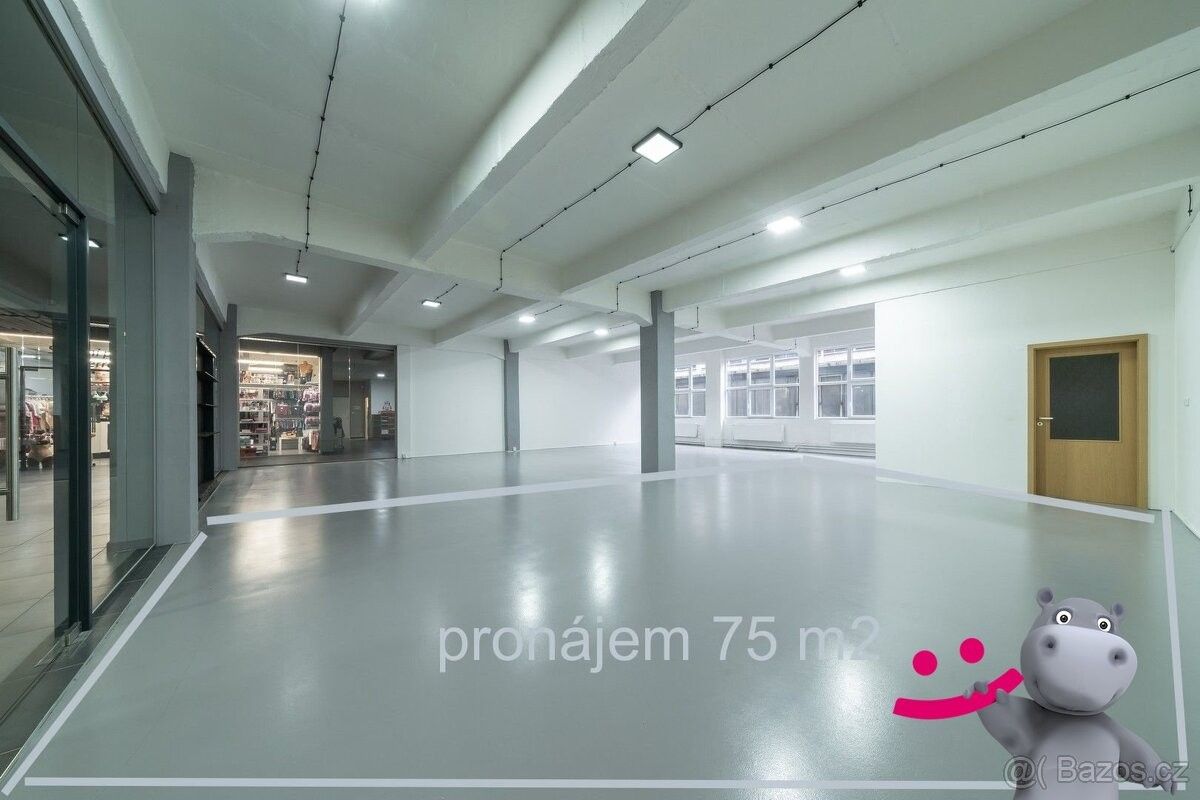 Obchodní prostory, Zlín, 760 01, 75 m²