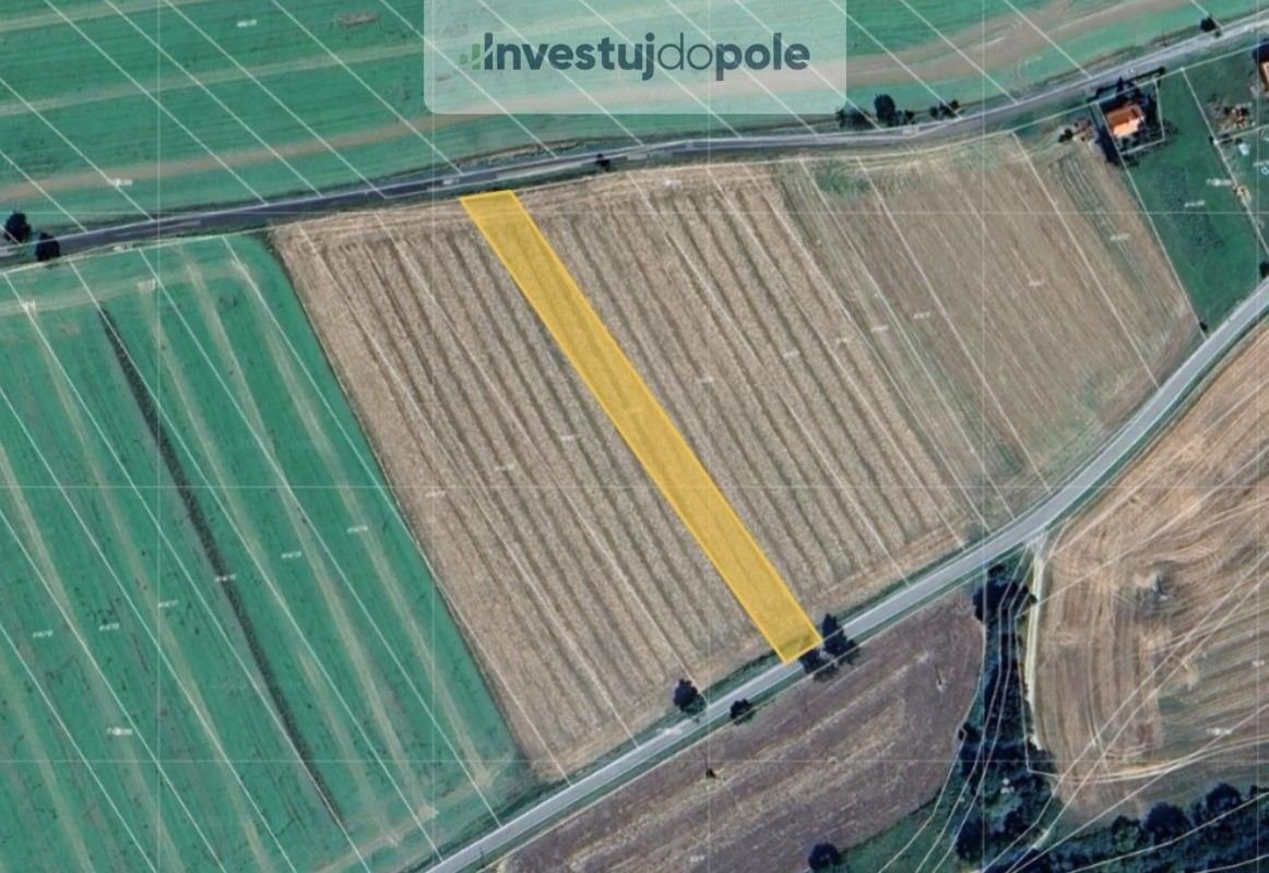 Prodej zemědělský pozemek - Čáslav, 286 01, 1 641 m²