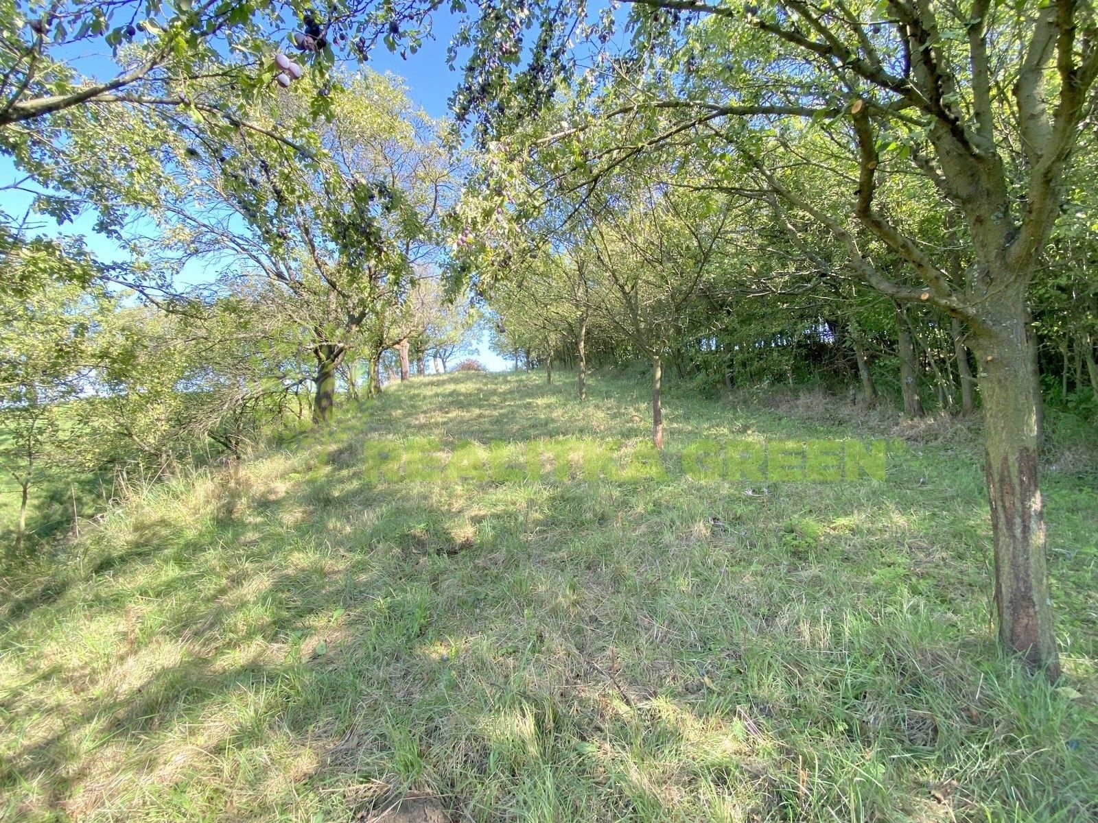 Louky, Podolí, 938 m²