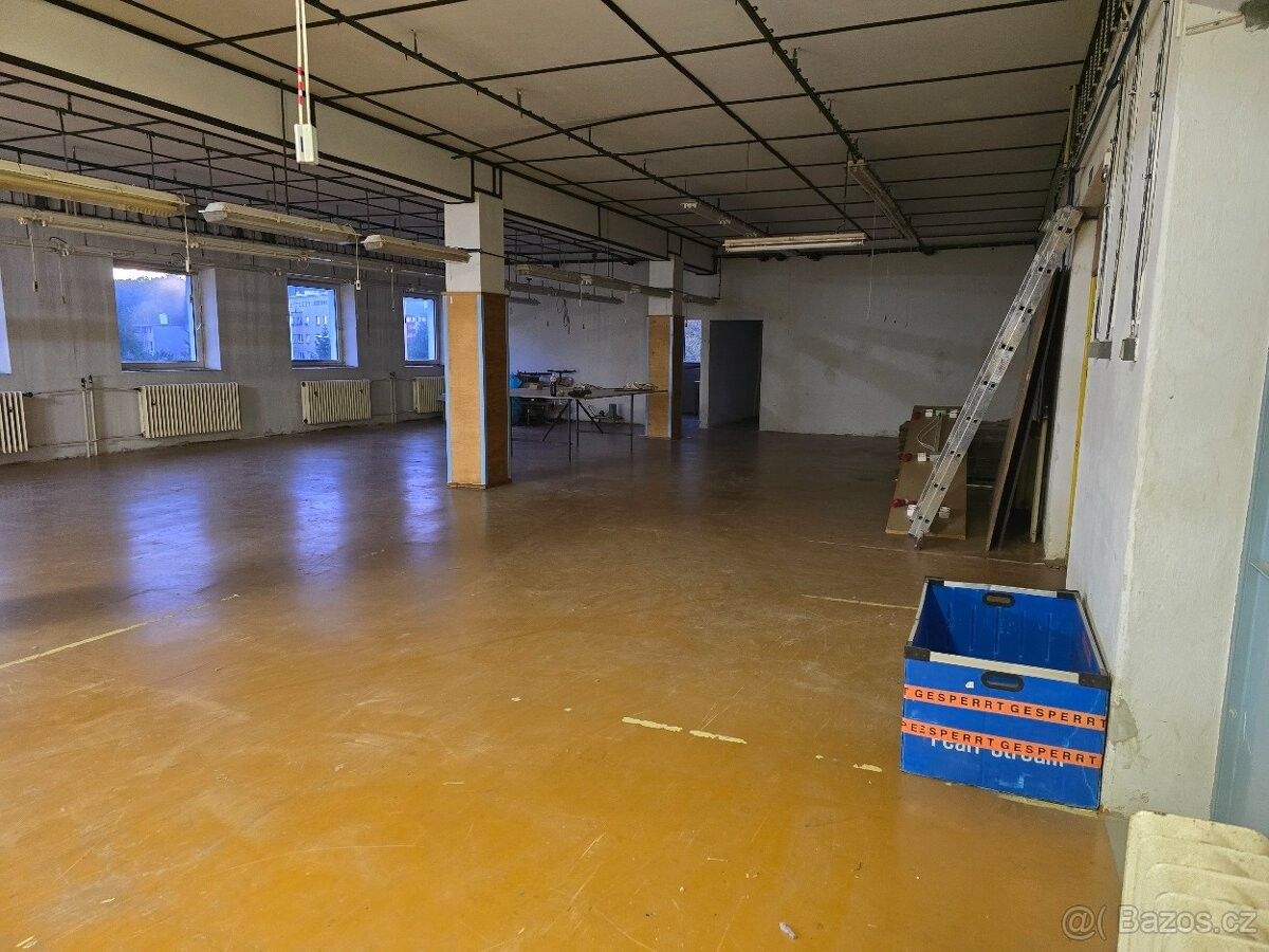 Pronájem obchodní prostory - Cheb, 350 02, 420 m²