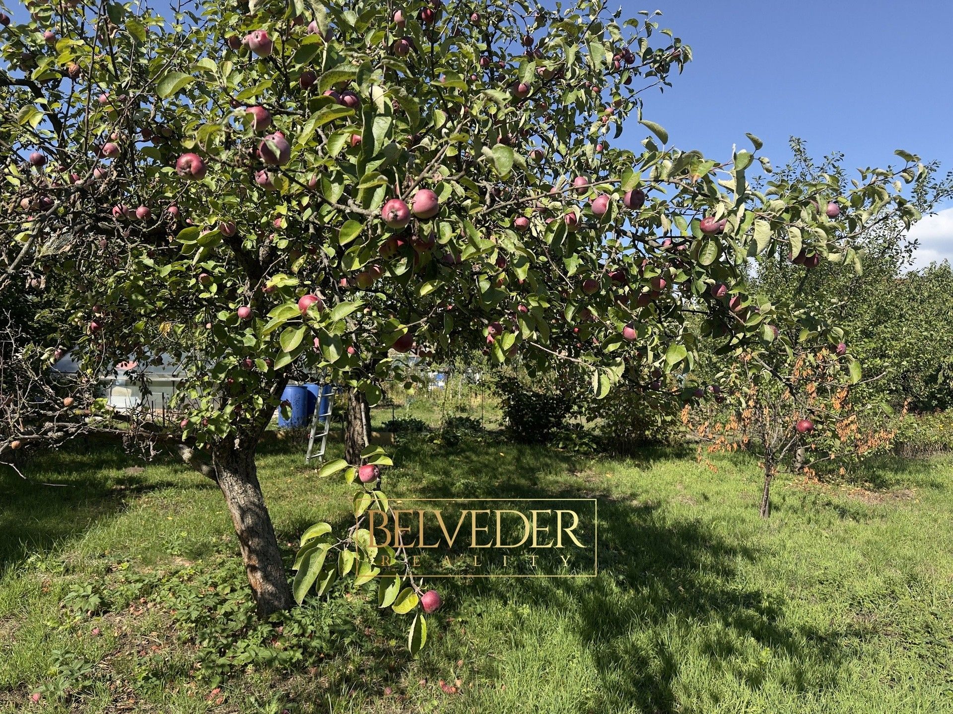 Zahrady, B. Němcové, Dubí