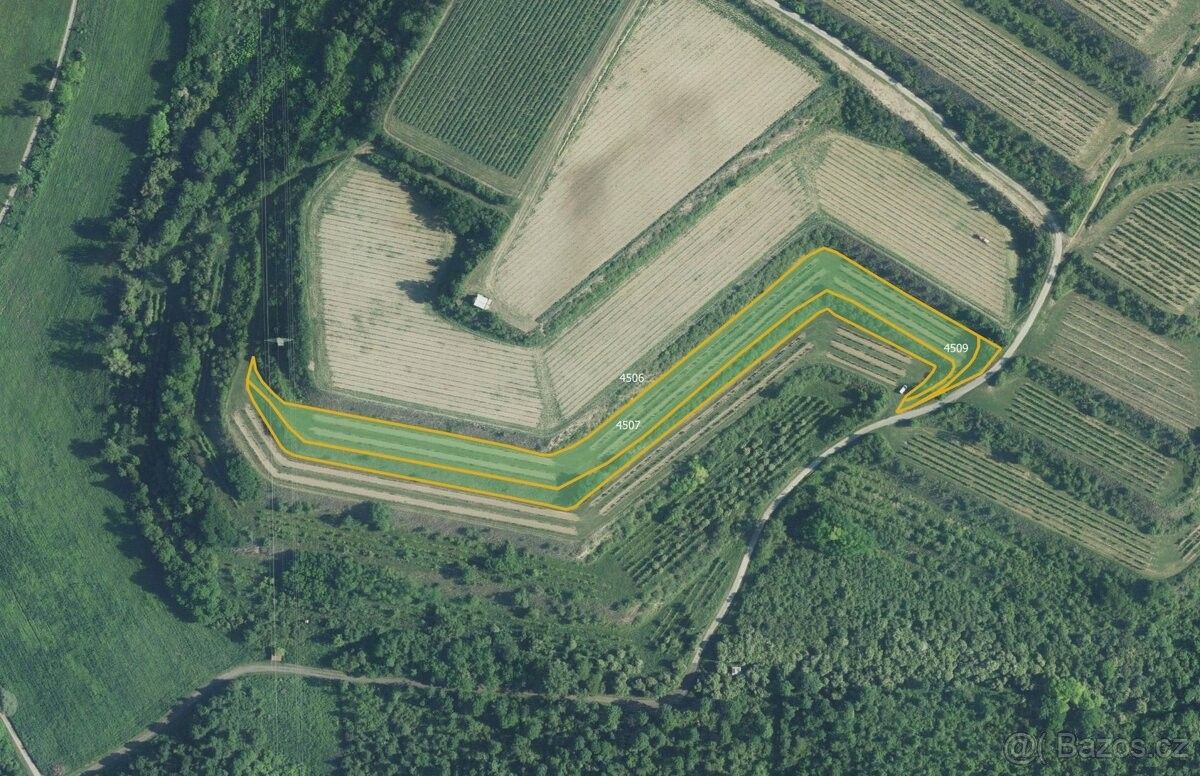 Pozemky pro bydlení, Diváky, 691 71