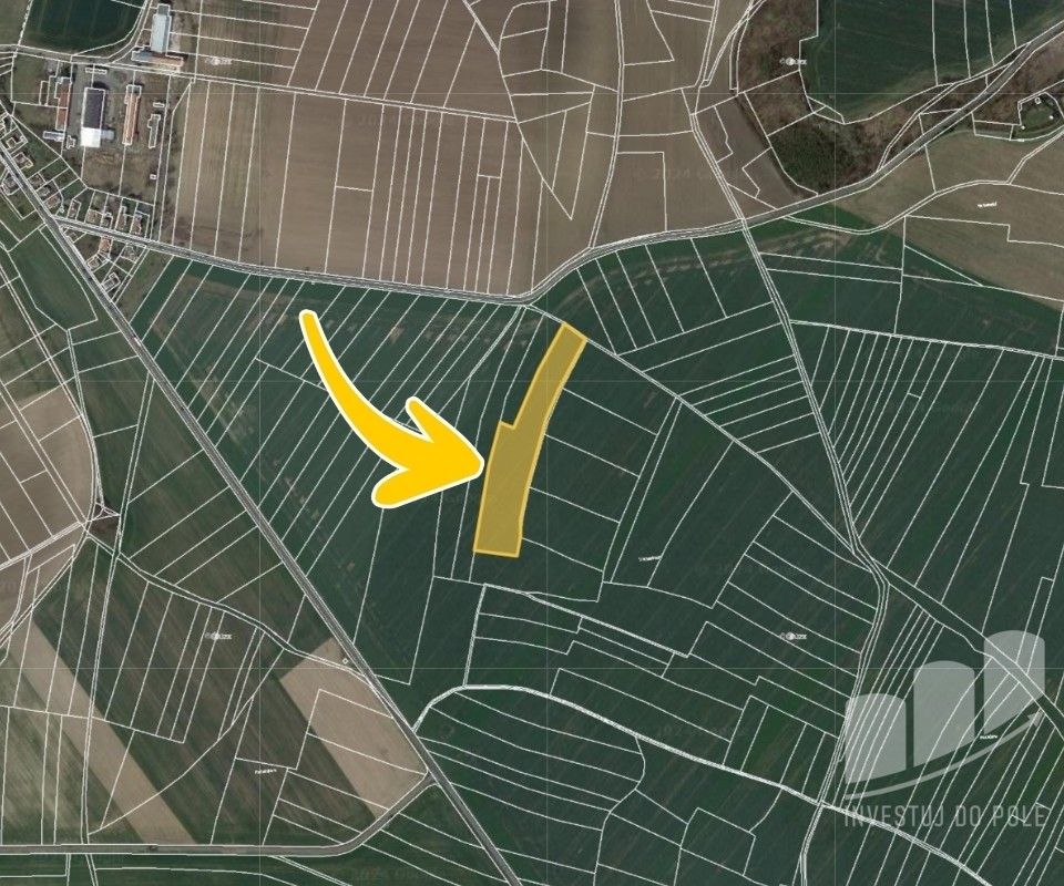 Prodej zemědělský pozemek - Podlažice, Chrast, 15 562 m²