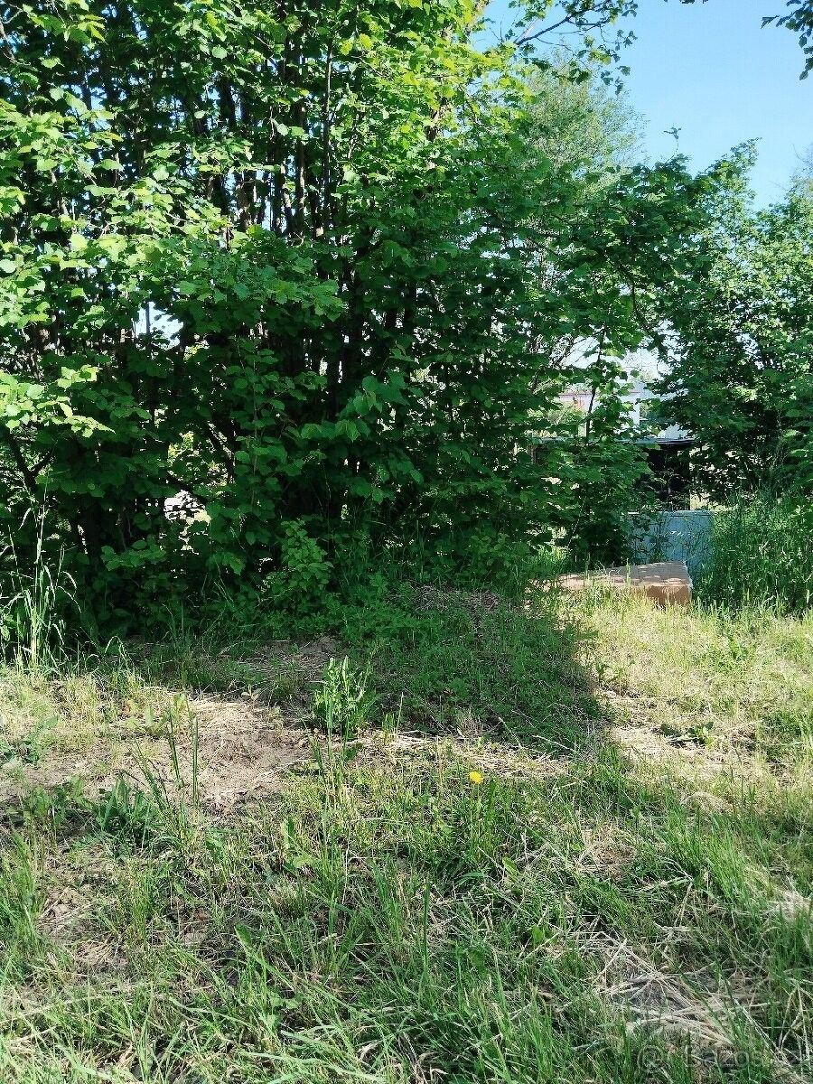 Pronájem zahrada - Frýdek-Místek, 738 01