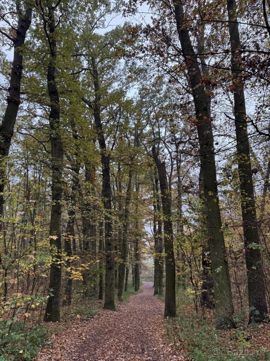 Pozemky pro bydlení, Praha, 154 00