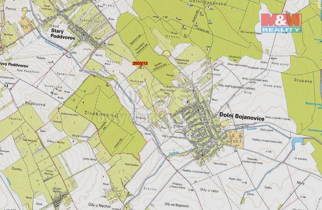 Prodej zemědělský pozemek - Dolní Bojanovice, 696 17, 300 m²