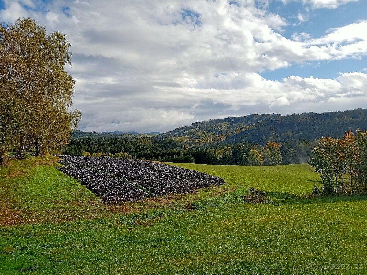 Ostatní, Zlatá Olešnice, 468 47