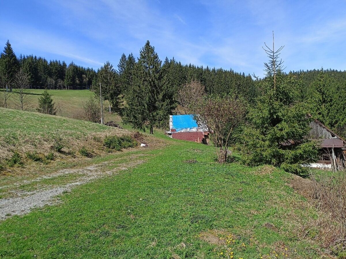 Prodej pozemek pro bydlení - Pražmo, 739 04, 27 587 m²