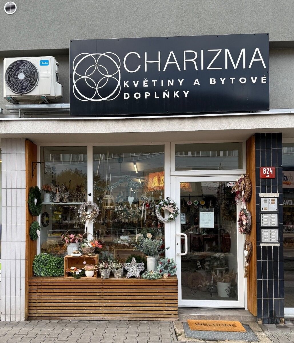 Obchodní prostory, Mladá Boleslav, 293 01