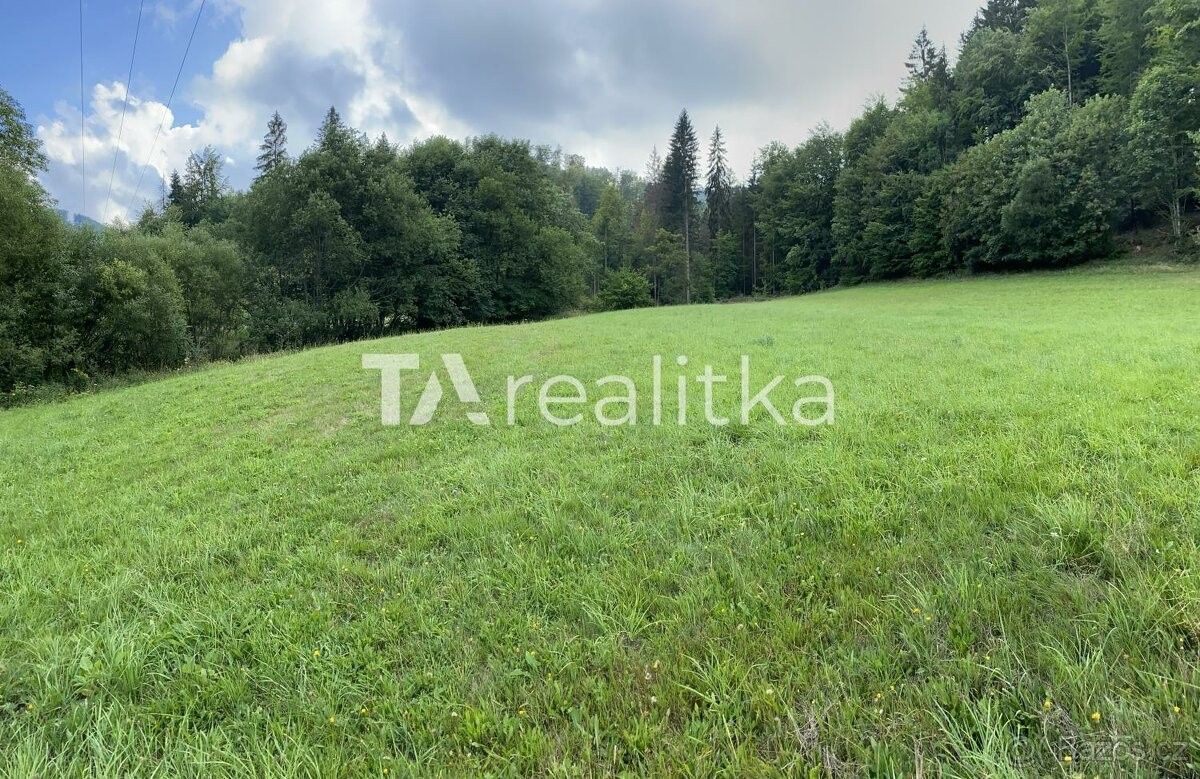 Prodej pozemek pro bydlení - Jablunkov, 739 91, 12 344 m²