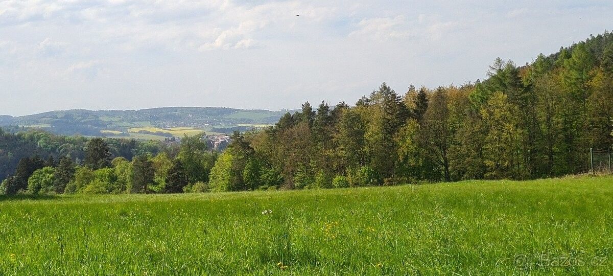 Prodej pozemek - Stříbrná Skalice, 281 67, 12 373 m²