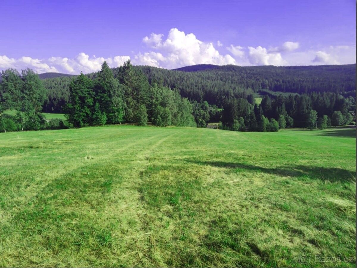 Pozemky pro bydlení, Stachy, 384 73