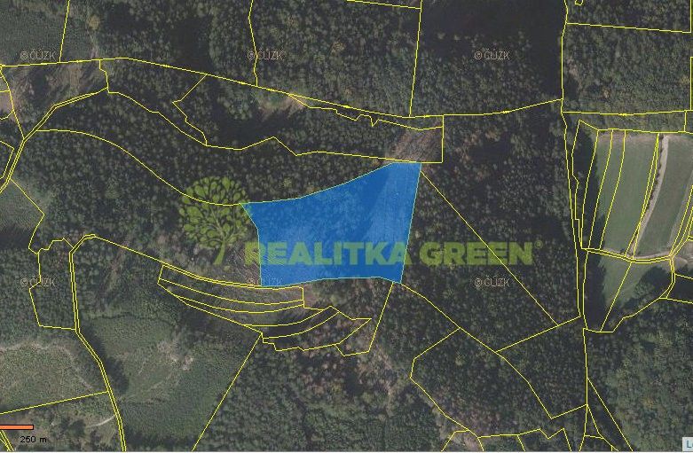 Lesy, Růžďka, 21 209 m²