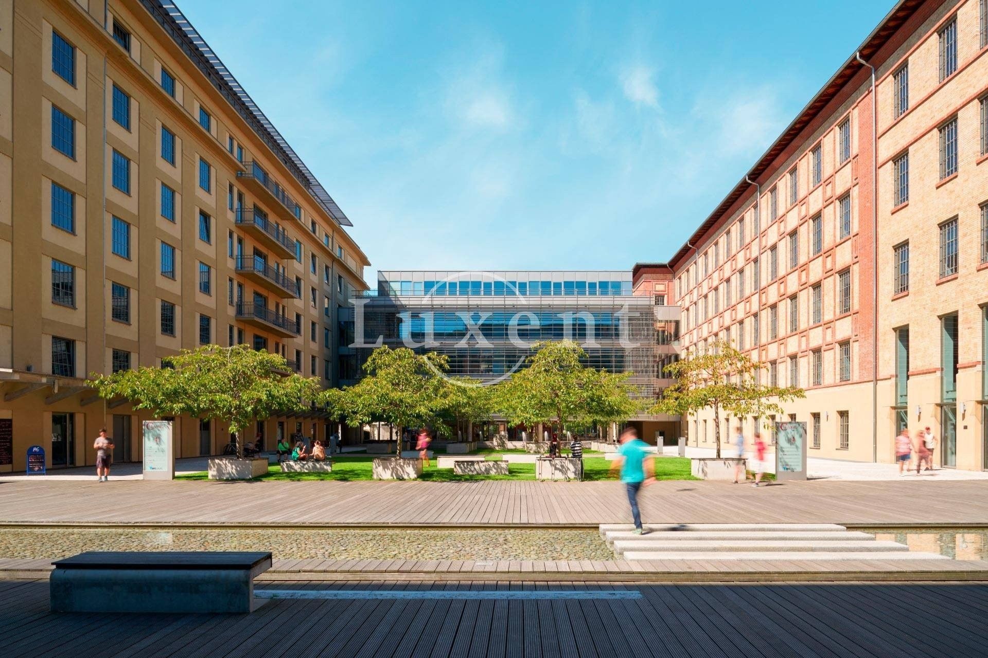 Kanceláře, Jankovcova, Praha, 330 m²