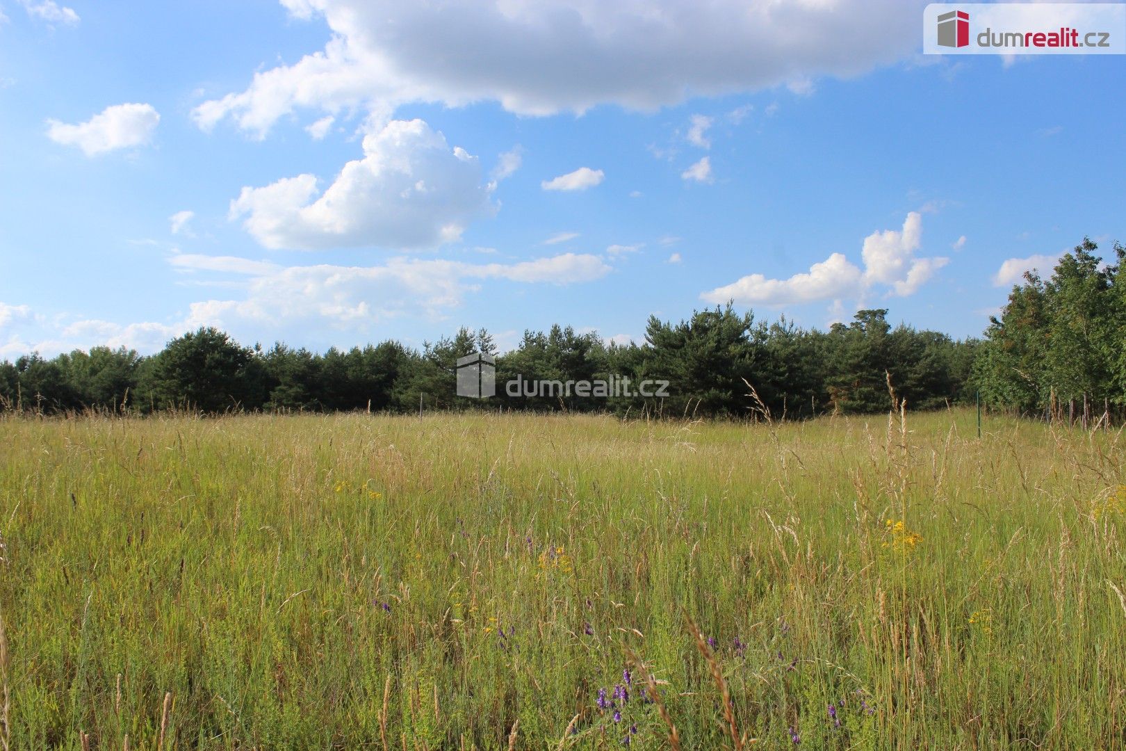 Prodej pozemek pro bydlení - Rasochy, Uhlířská Lhota, 12 850 m²