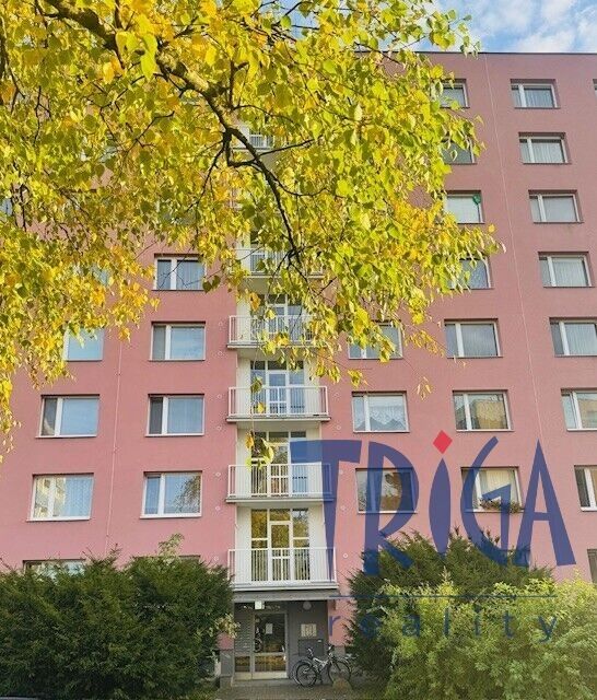 3+1, Josefa Šímy, Jaroměř, 71 m²