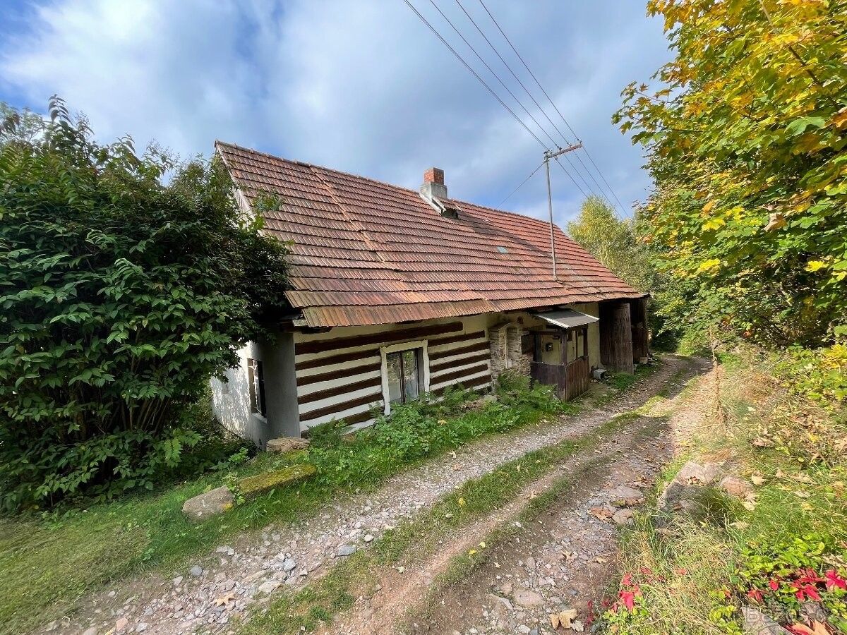 Prodej chata - Jablonné nad Orlicí, 561 64, 4 100 m²