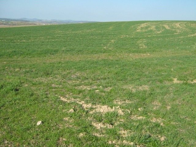 Pozemky pro bydlení, Bystřice u Benešova, 257 51