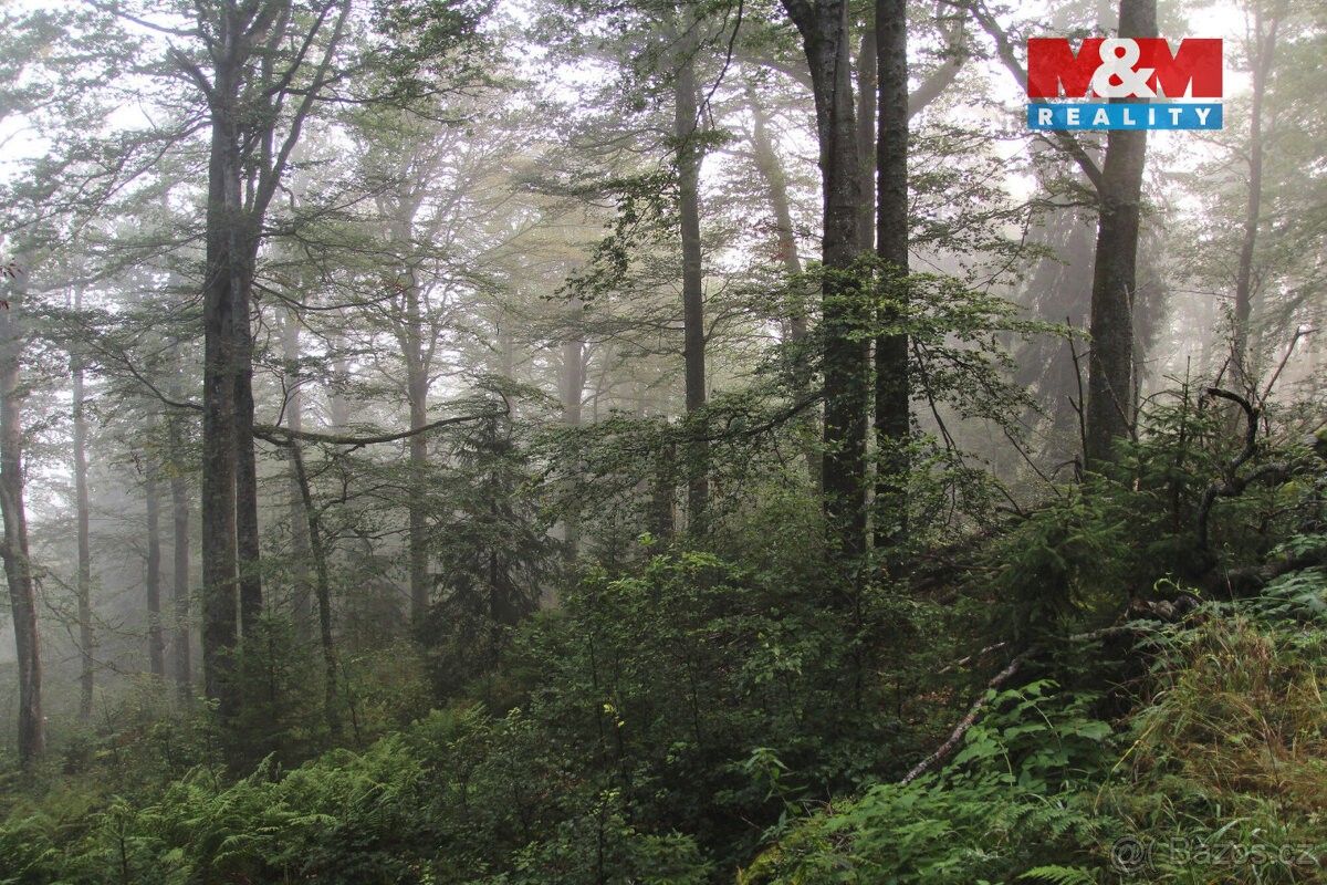 Prodej pozemek pro bydlení - Bystřice nad Olší, 739 95