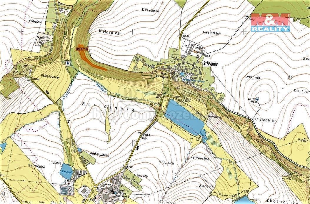 Prodej les - Skuteč, 539 73, 8 078 m²