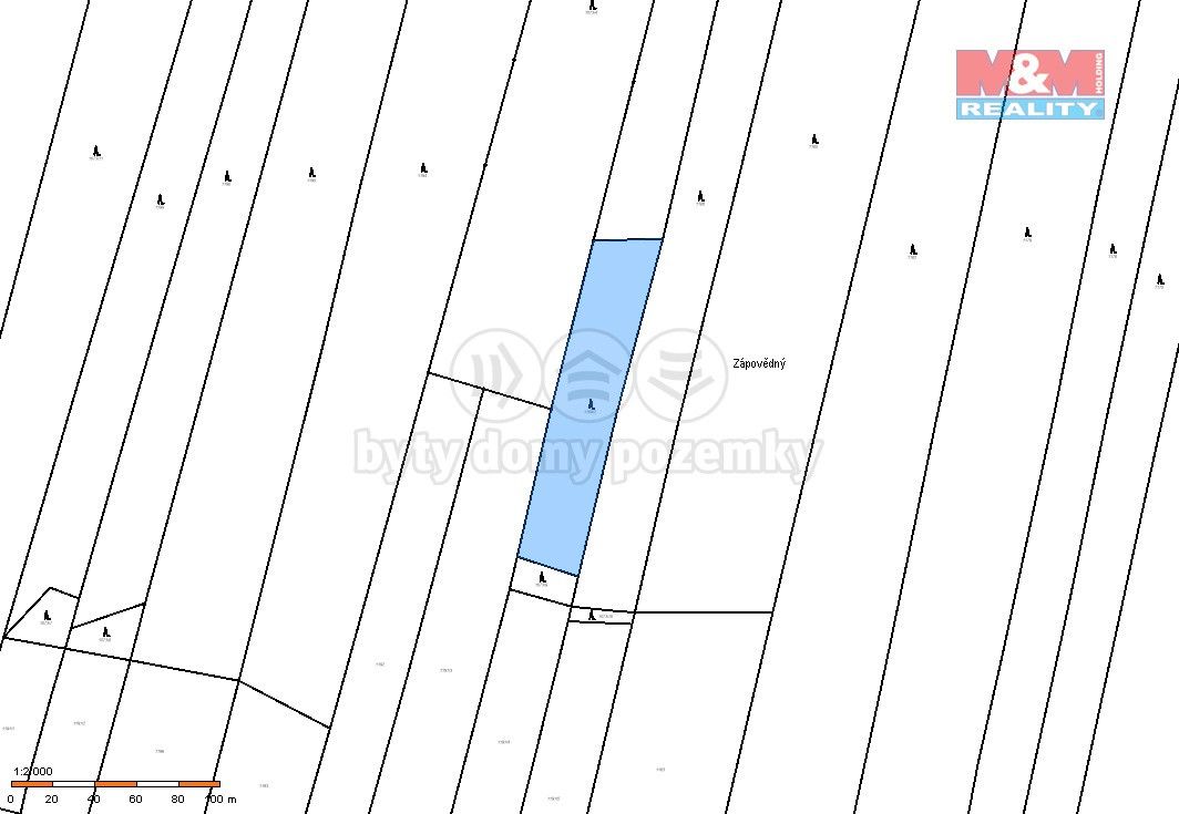 Prodej les - Jetětice, 398 48, 4 993 m²