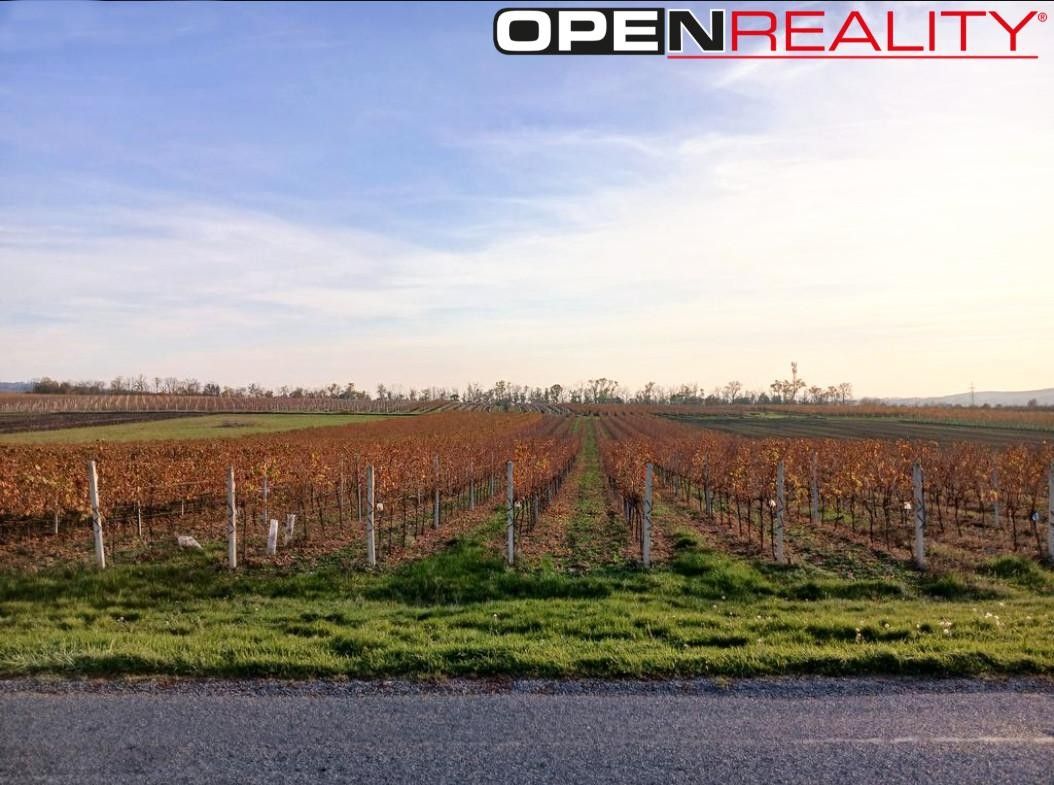 Ostatní, Perná, 10 519 m²