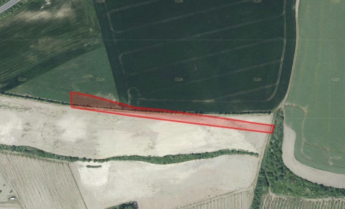 Prodej zemědělský pozemek - Třebívlice, 411 15, 9 389 m²