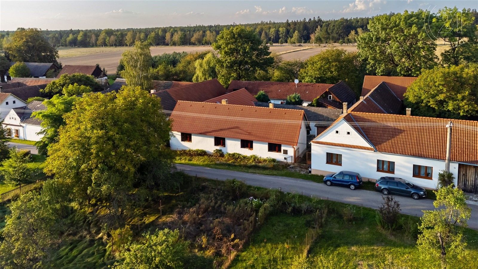 Ostatní, Bor, Suchdol nad Lužnicí, 307 m²