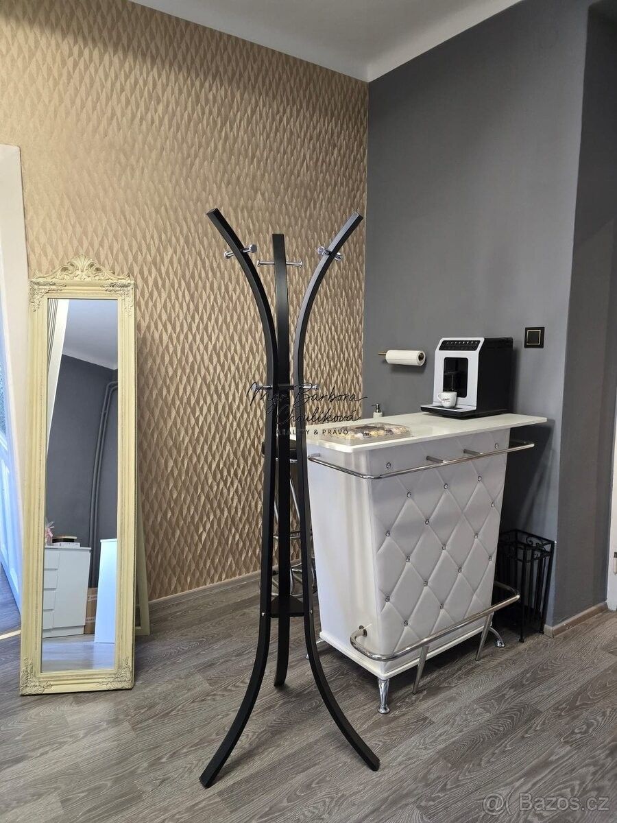 Obchodní prostory, Plzeň, 301 00