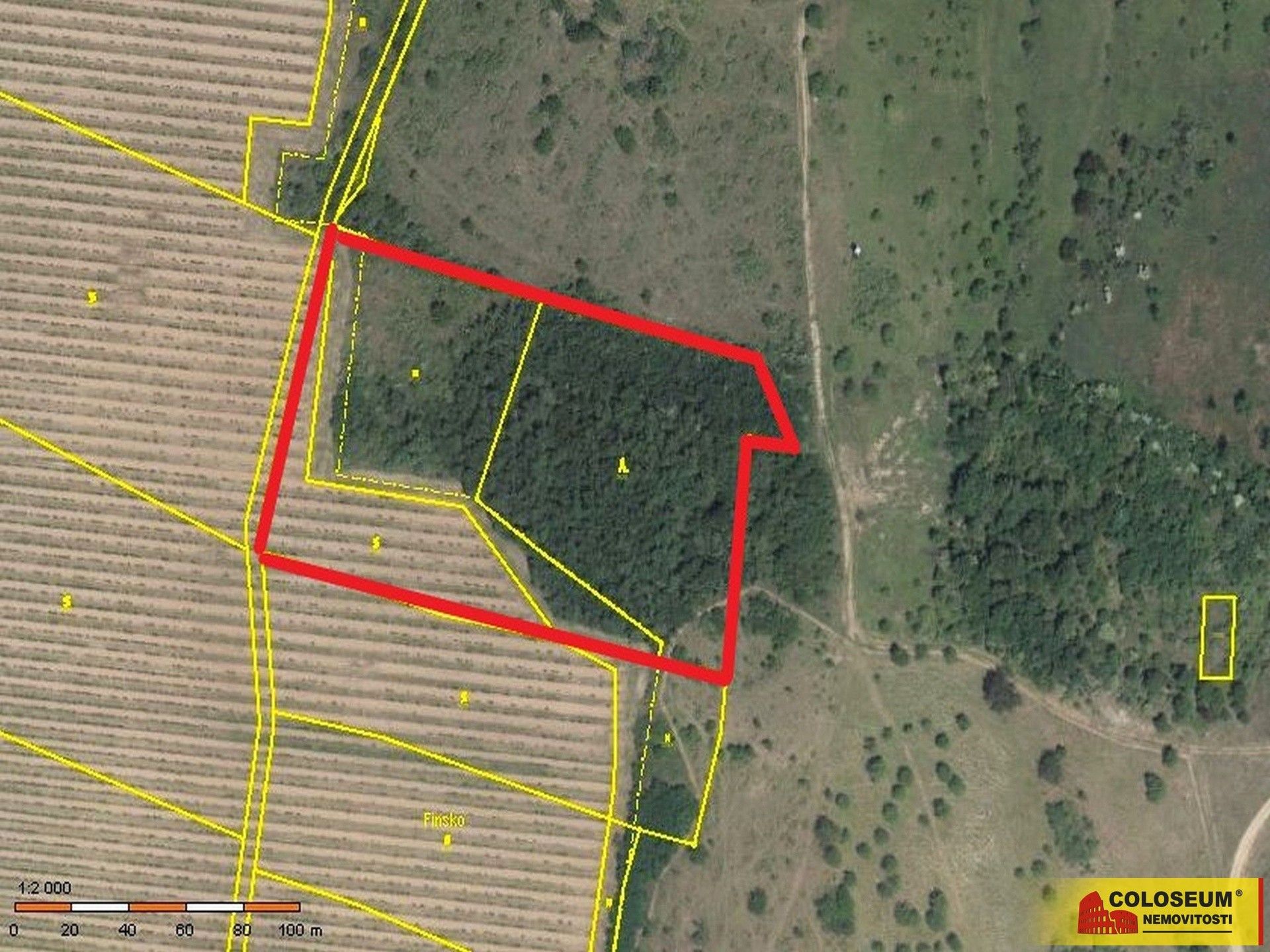 Prodej pozemek - Oblekovice, Znojmo